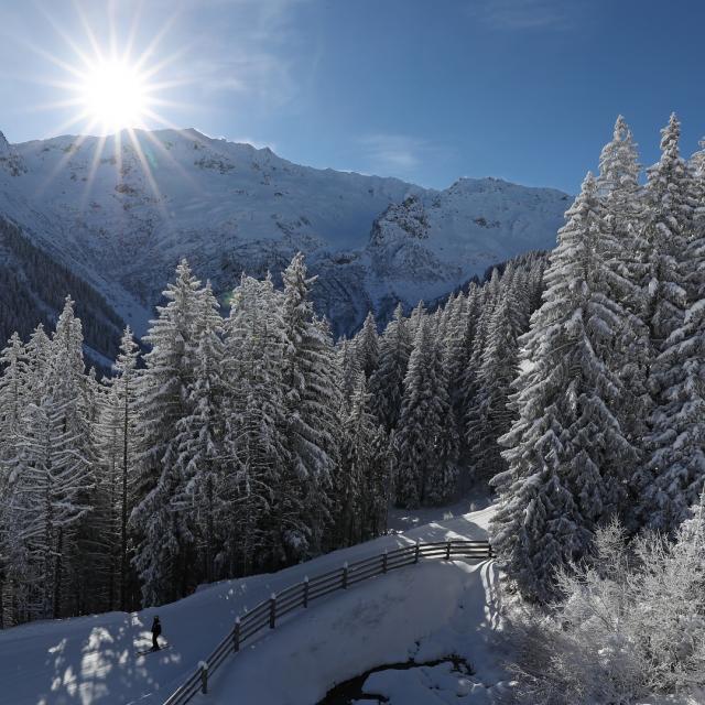 7-laux-vallons-du-pra-nature