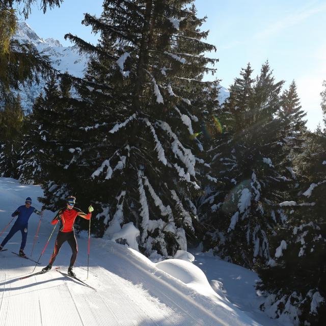 7-laux-ski-nordique -prapoutel