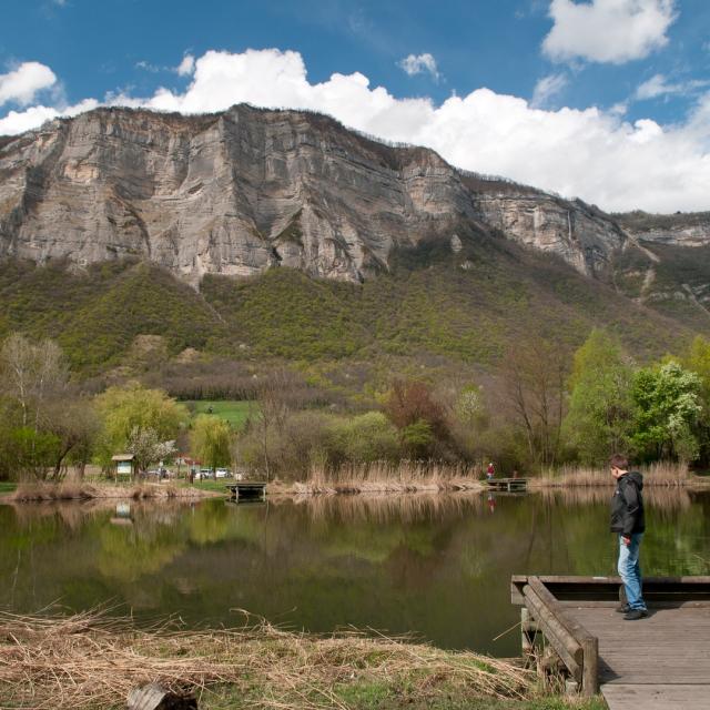 Marais De Montfort1 (laurent Chaix® Images Et Reves.com) Bd