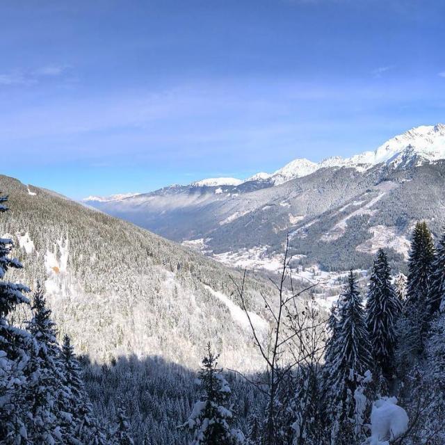Instagram #lepleynet