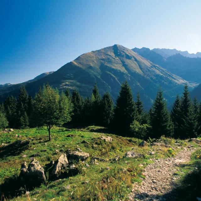 E06 Crop0005©imagesetreves