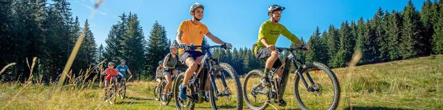 VTT à Assistance Electrique Les 7 Laux