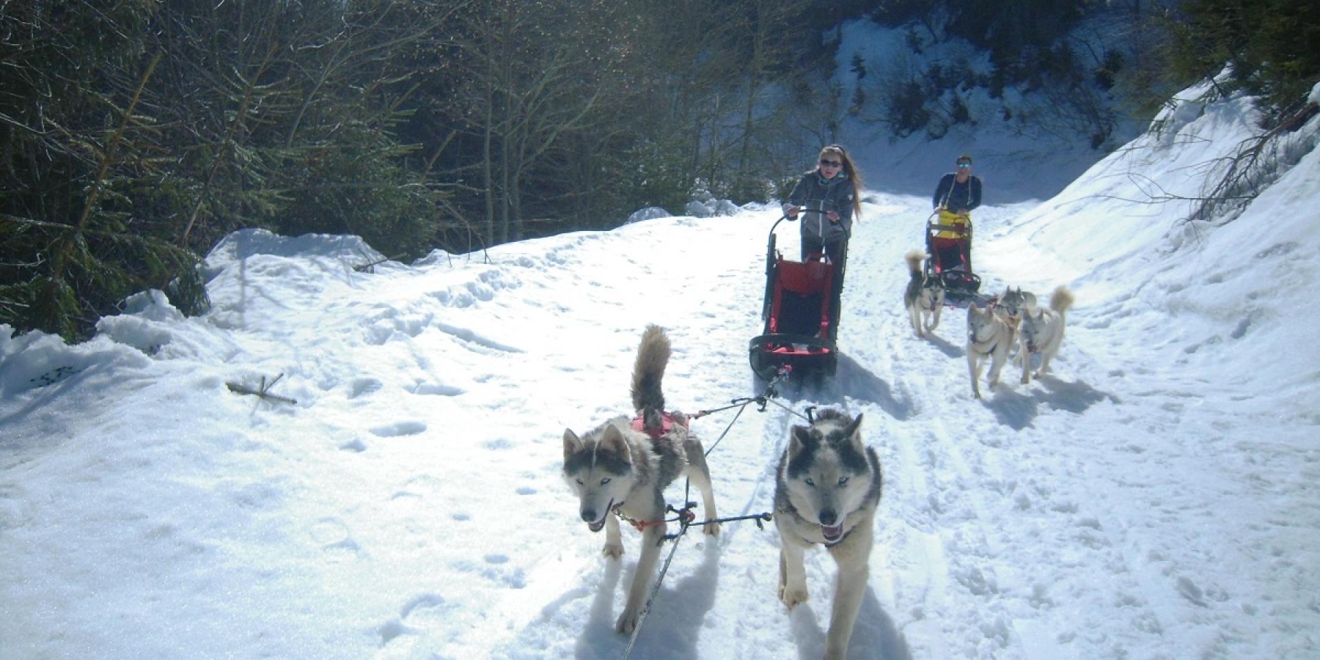 Initiation Mushing