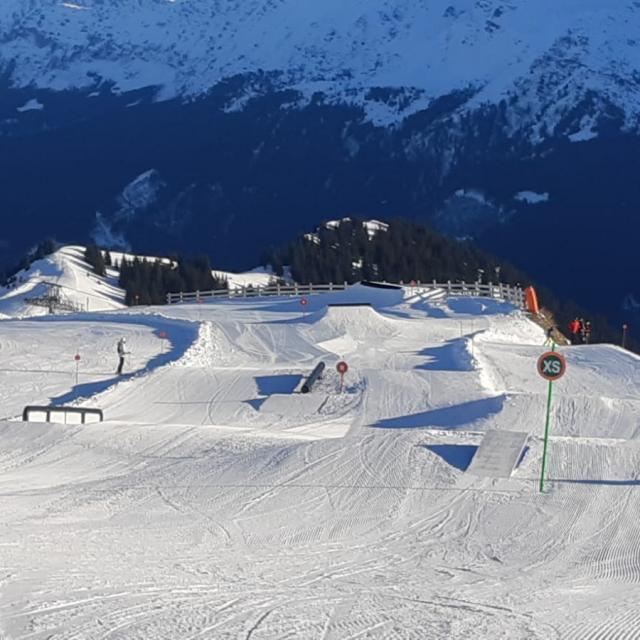 h22-snowpark1wiseride.jpg