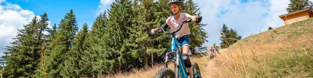 7 Laux Trotinette Tt Michael Mollier