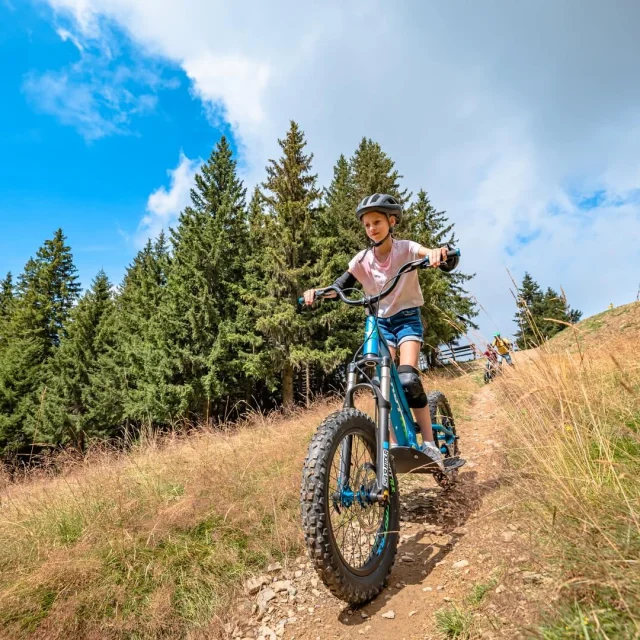 7 Laux Trotinette Tt Michael Mollier