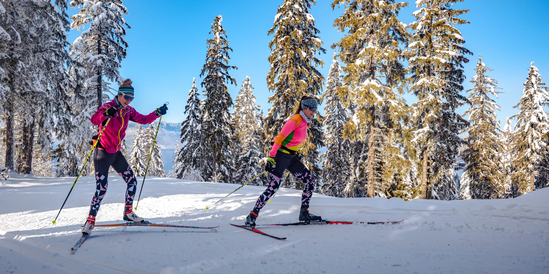 ノルディックトラックSkiing in Your ノルディックウォーク Amazon