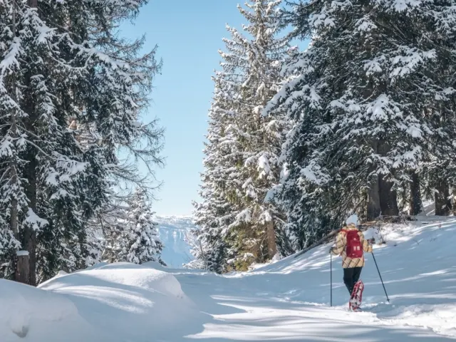 Raquette au Collet d'Allevard, paysage enneigé
